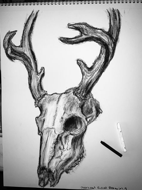 Dear Skull Drawing, Wendigo Skull Drawing, Animal Skeleton Sketch, Moose Skull Drawing, Skull Drawing Animal, Animal Skull Drawing Reference, Deer Skull Reference, Animal Skull Drawing Sketches, Deer Skull Sketch