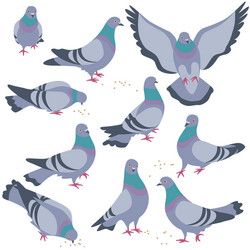 Dove Drawing, 카드 디자인, Bird Drawings, Flat Illustration, My New Room, Bird Art, 그림 그리기, Pigeon, Drawing Sketches