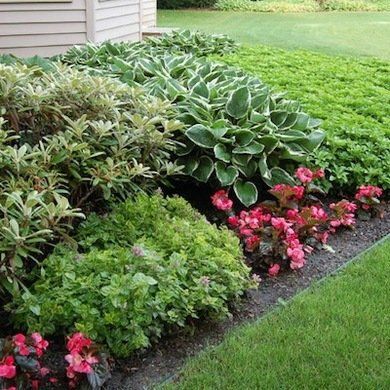 Low Lying Plants For Landscaping, Foundation Plants, Front Yards Curb Appeal, Landscape Curbing, House Foundation, Planting Ideas, Bob Vila, Front Yards, Foundation Planting