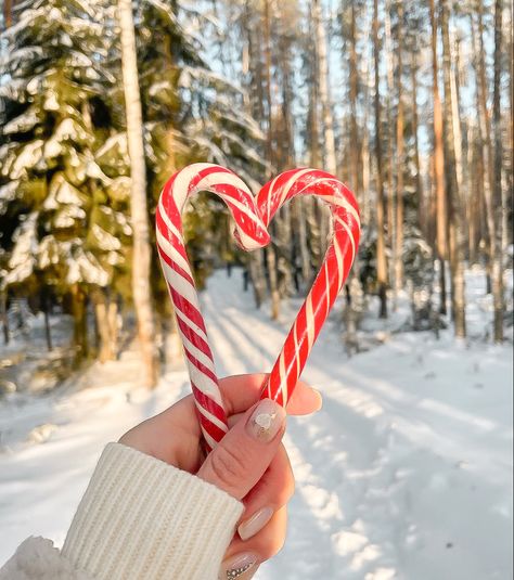 Suecia Travel Sweden Aesthetic Norway candy cane winter Sweden Aesthetic, Travel Sweden, Candle Aesthetic, Winter Scenery, Winter Forest, Holidays Christmas, Christmas Candy Cane, Table Ideas, Christmas Aesthetic