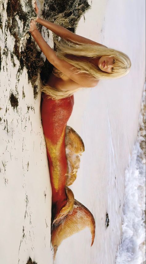 Splash Movie Mermaid, Orange Mermaid Tail, River Mermaid, Splash Movie, Splash Mermaid, Realistic Mermaid Tails, Orange Mermaid, Underwater Model, No Ordinary Girl