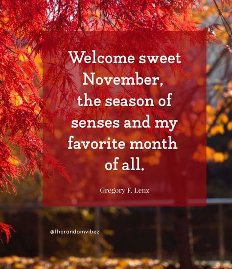 November Welcome Quotes, Welcome November Images, November 1st Quotes, Happy November Quotes, November Wishes, Welcome November Quotes, Hello November Quotes, Hello March Quotes, Hello October Images