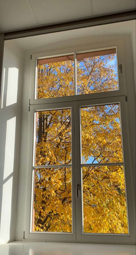 autumn | fall | leaves | orange leaves | downtown girl | aesthetic | white | 🍁 Fall Leaves Through Window, Fall White Aesthetic, Autumn Yellow Aesthetic, Minimal Fall Aesthetic, Yellow Leaves Aesthetic, Bright Autumn Aesthetic, Light Blue Fall Aesthetic, Light Fall Wallpaper, Bright Fall Aesthetic