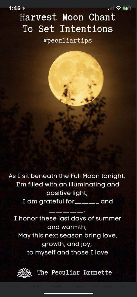 Harvest Moon Prayer, Harvest Moon Manifestation, Harvest Moon Ritual Wicca, Full Harvest Moon Rituals, Harvest Moon Intentions, Harvest Moon Crystals, Harvest Moon Recipes, Harvest Moon Spells, September Full Moon Ritual