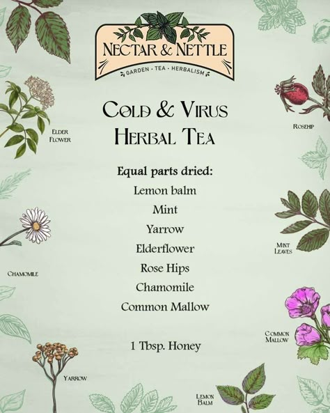 Nettle Tea Blend Recipe, Fall Tea Blends, Diy Tea Blends Recipes, Diy Tinctures Herbal Medicine, Herbal Tea Blends Recipes, Diy Herbal Tea Blends, Cold Remedy Tea, Herbal Cold Remedies, Medicinal Tea Blends