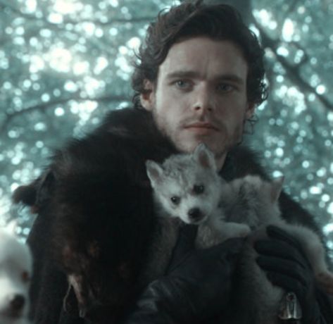 Martell Game Of Thrones, Robb Stark Aesthetic, Ikaris Eternals, Cregan Stark, Medieval Romance, Aemond Targaryen, Robb Stark, The North Remembers, King In The North