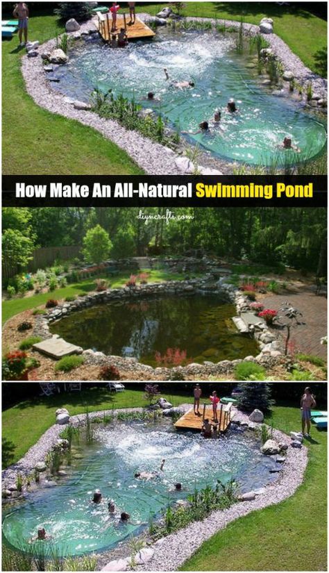 Swimming Pool Pond, Taman Air, Natural Swimming Ponds, Diy Pond, Diy Swimming Pool, Family Pool, Swimming Pond, Swimming Pools Inground, Natural Pond