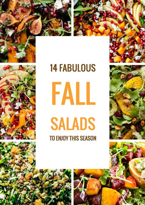 14 Best Fall Salad Ideas - Easy Ideas for Autumn Salads Salad Autumn, Autumn Salads, Roasted Squash Salad, Fall Salads, Ideas For Autumn, Fall Salad, Course Ideas, Seasonal Salad, Healthy Holiday Recipes