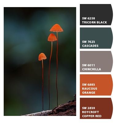 ColorSnap by Sherwin-Williams – ColorSnap by casey31652 Cascades Sherwin Williams Color Palette, Cascades Sherwin Williams, Green Exterior Paints, Sherwin Williams Green, Orange Paint Colors, Bedroom 2023, Home Wall Colour, Freedom House, Sherwin Williams Color Palette