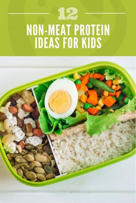 Nonmeat Protein, Non Meat Protein Sources, Toddler Dinners, Snacks Homemade, Baby Nutrition, Protein Ideas, Vegetarian Kids, Vegetarian Protein Sources, Mommy Hacks