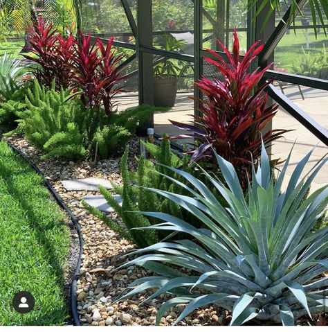 Key West Front Yard Landscaping, Florida House Landscaping, Key West Landscape Ideas, Florida Landscaping Around Pool Cage, Tropical Landscaping Front Yard Florida, Low Maintenance Florida Landscaping, Simple Florida Landscaping, Yard Corner Landscaping, Front Yard Corner Landscaping