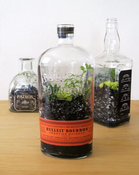 Diy: Bottle Terrarium • Recyclart Ecosystem In A Bottle, Terrariums Diy, Bottle Terrarium, Beautiful Terrariums, Bottle Garden, Terrarium Diy, Garden Terrarium, Terraria, Terrarium Plants