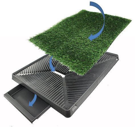 Dog Potty Box, Dog Litter Box, Pet Grass, Chia Pet, Outdoor Toilet, Diy Planter, Disabled Dog, Dog Potty, Faux Grass