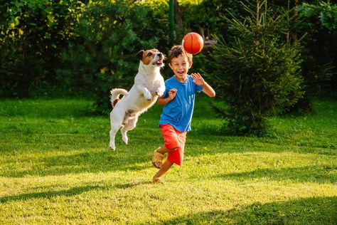 Playground Balls, Action Pictures, Dog Ball, Interactive Dog Toys, Kids Soccer, Rabbit Toys, Outdoor Dog, Jack Russell Terrier, Chew Toy