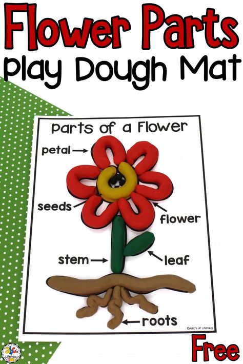 This Flower Parts Play Dough Mat is a hands-on way for your kids use their senses as they are learning all about the parts of a plant. Parts Of The Flower Activities, Plant Sensory Activities, Parts Of The Plant Activities, Flower Parts Worksheet, Flower Parts For Kids, Plants Parts For Kids, Parts Of A Flower Activity, Part Of Plants For Kids, Plant Parts Activities