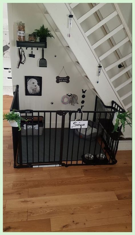 Dog Corner In Bedroom Ideas, Pet Room Decor Ideas, Dog Room In Apartment, Dog Rooms In House Small Spaces, Cute Dog Playpen, Puppy Room Ideas Small Spaces, Puppy Corner Ideas Living Room, Dog Section In House, Dog Playpen Ideas