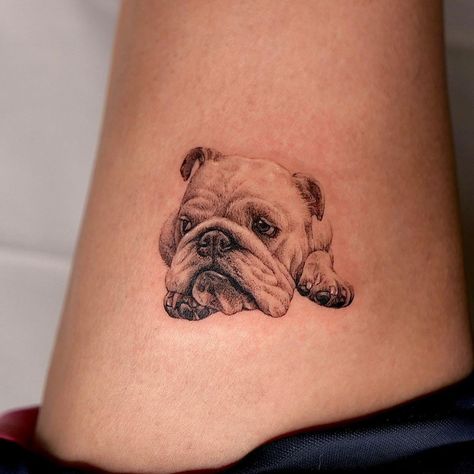 Bull Dog Tattoo, french bulldog tattoo, english bulldog tattoo, traditional bulldog tattoo, usmc bulldog tattoo, marine corp bulldog tattoo, minimalist bulldog tattoo, marine bulldog tattoo, bulldog tattoo ideas, georgia bulldog tattoo, american traditional bulldog tattoo, american bulldog tattoo, angry bulldog tattoo, bulldog tattoo shop, french bulldog tattoo outline, bulldog tattoo designs, marine corps bulldog tattoo, bulldog tattoo parlor,traditional bulldog tattoo flash,mack bulldog tattoo Simple English Bulldog Tattoo, Bulldog Silhouette Tattoo, English Bulldog Tattoo Minimalist, Old English Bulldog Tattoo, Bulldog Memorial Tattoo, French Bulldog Tattoo Ideas, Bulldog Outline Tattoo, Usmc Bulldog Tattoo, Georgia Bulldog Tattoo