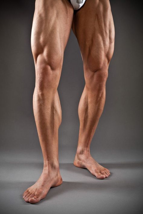 Leg Study, Leg Muscles Anatomy, Leg Anatomy, Human Anatomy Reference, Foot Anatomy, Drawing Legs, Life Drawing Reference, Man Anatomy, Muscular Legs