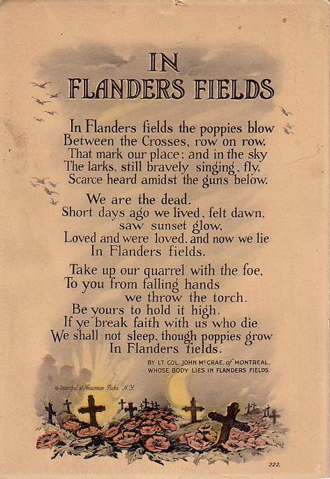 In Flanders Fields the poppy grew. Wear your poppies proud.  I will. In Flanders Fields, John Mccrae, Flanders Field, Anzac Day, Remembrance Day, A Poem, Veterans Day, Military History, Nursery Rhymes