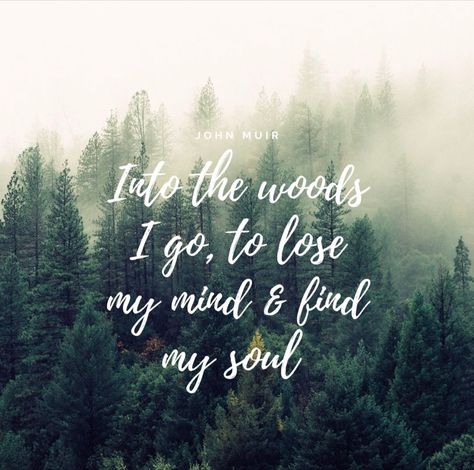 In To The Woods Quotes, Walk In The Woods Quotes, Cabin Quote, Blue Porch, Forest Quotes, Wood Tattoo, Into The Woods Quotes, John Muir Quotes, Shinrin Yoku