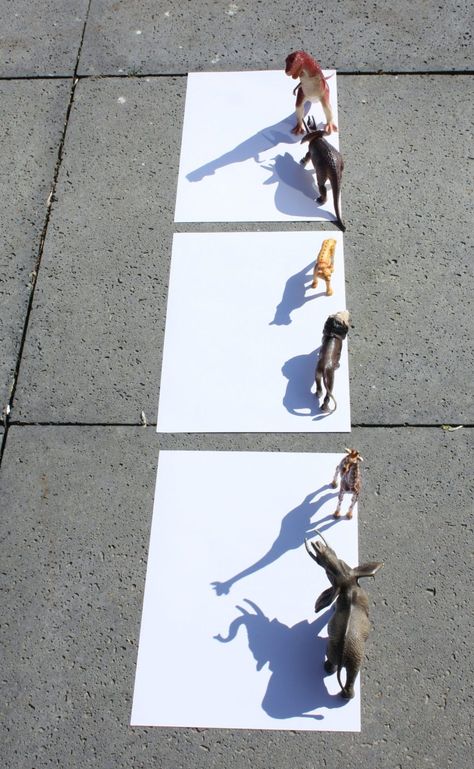 Animal Shadow Drawing, Nature Things To Draw, Reggio Art Activities, Nature Art Projects, Shadow Drawings, Camp Activities For Kids, Reggio Art, Animal Shadow, Art Games For Kids