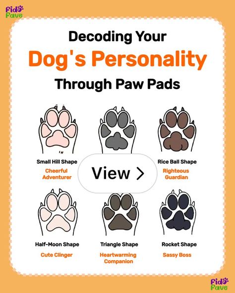 Dog Paws Aesthetic, Dog Paw Pads, Paw Pad, Meds For Dogs, Different Types Of Dogs, Dog Personality, Dog Pads, Bonnie Clyde, Puppy Paws