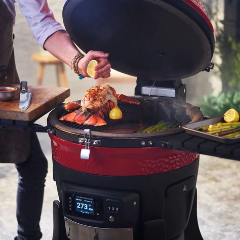 Charcoal Grill Smoker, Kamado Grills, Carbon Steel Wok, Fire Pit Cooking, Charcoal Smoker, Ceramic Grill, Kamado Grill, Cooking App, Kamado Joe