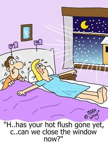 Hot Flashes Humor, Funny Cartoons Jokes, Hilarious Pictures, Slaap Lekker, Joke Of The Day, Hot Flashes, Cartoon Jokes, Funny Cartoons, Bones Funny