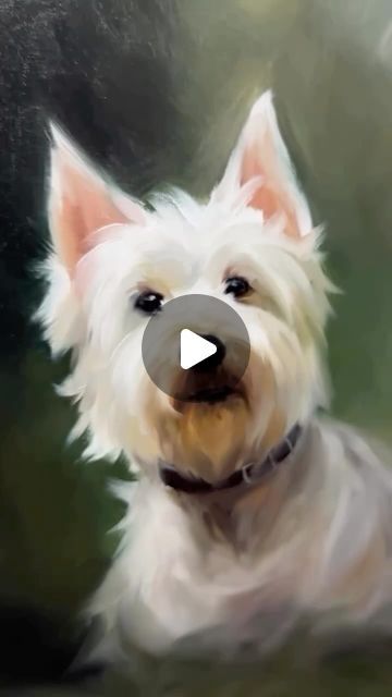 Marcelo Rochá • Pet Portraits | TBT Kaylee, a Westie in oil painting 12x16” on
stretched canvas.
.
.
#Petportrait #petportraits #dogportrait #dogportraits... | Instagram How To Paint Dogs Pet Portraits, Dog Portrait Drawing, Pet Portrait Paintings, Dog Portraits Painting, Different Types Of Painting, Watercolor Dog Portrait, Painting Portraits, Painting Pictures, Instagram Painting