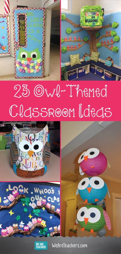 23 Owl-Themed Classroom Ideas That Your Students Will Think Are a Hoot Themed Classroom Ideas, Easter Classroom Decorations, Owl Classroom Decor, Preschool Classroom Themes, Owl Room, Classroom Decor Middle, Easter Classroom, Music Classroom Decor, Owl Theme Classroom