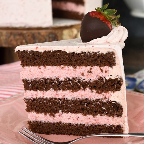 Chocolate Cake with Strawberry Mousse FIlling - Baking Sense® Chocolate Kahlua Cake, Mousse Cake Filling, Strawberry Mousse Filling, Light Chocolate Cake, Strawberry Mousse Cake, Kahlua Cake, Chocolate Fruit Cake, Strawberry Cake Filling, Strawberry Buttercream Frosting