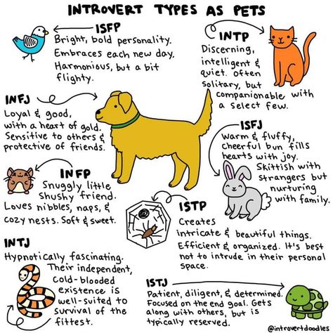 Infj Thoughts, Horned Serpent, Personalidad Infj, Mbti Intp, Character Test, Isfj Personality, Infp Personality Type, Mbti Types, Intp Personality