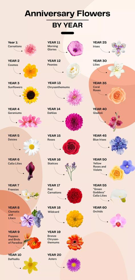 Wedding Flowers Meaning, Buy Flowers For Yourself, Wedding Bouquet Flowers Types, Coral Wedding Anniversary Ideas, Bouquet Of Flowers Arrangements, Flower Bouquet Anniversary, Anniversary Floral Arrangements, Carnation Flower Arrangements Ideas, Flower Bouquet Price List