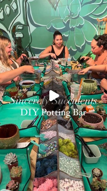 Sincerely Succulents (@sincerely.succulents) • Instagram photos and videos Succulent Bar Diy, Succulent Bar, Succulent Planting, Succulent Display, Vendor Booth, Girls Day, Diy Bar, Succulents Diy, Girl Day