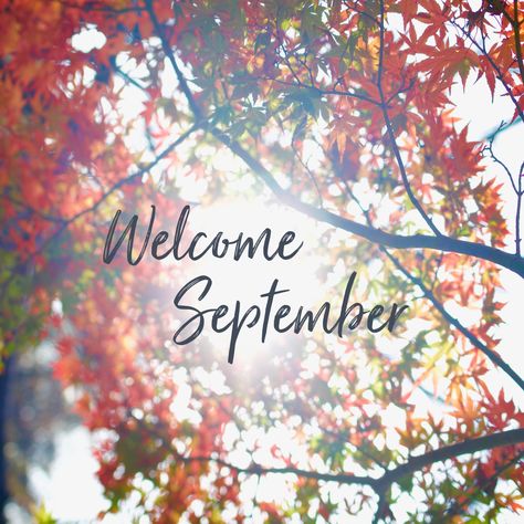 Welcome September New Wishes, International Women's Day Wishes, September Images, Seasons Name, September Quotes, Neuer Monat, Welcome May, Welcome September, September Baby