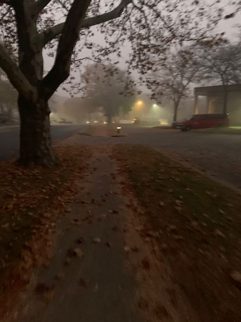 Foggy Halloween Aesthetic, Quiet Fall Aesthetic, Scary Fall Aesthetic, Morning Fall Aesthetic, Winter Foggy Morning, Fall Foggy Morning, Early Autumn Morning Aesthetic, Fall Mornings Aesthetic, Foggy Fall Aesthetic