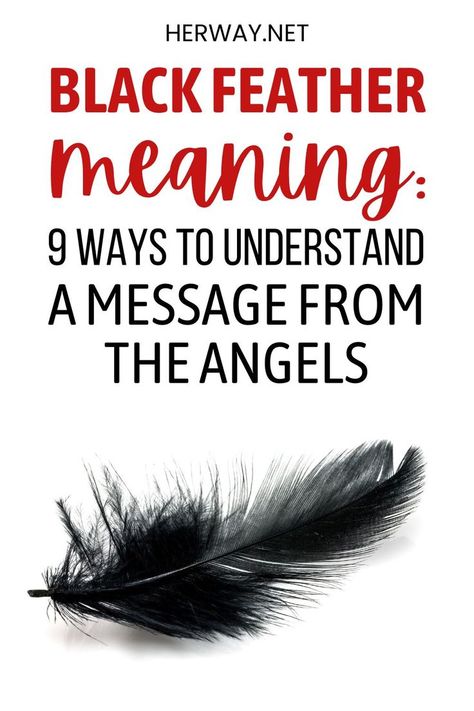 What is finding a black feather meaning? In this article, we will tell you all about its spiritual, angelic, and biblical meaning. Black Angel Quotes, Finding Black Feather Meaning, Meaning Of Black Feather, Feather Meaning Spiritual, Black Feather Spiritual Meaning, Finding A Black Feather Meaning, Spiritual Meaning Of Feathers, Feathers Spiritual Meaning, Crow Feather Meaning