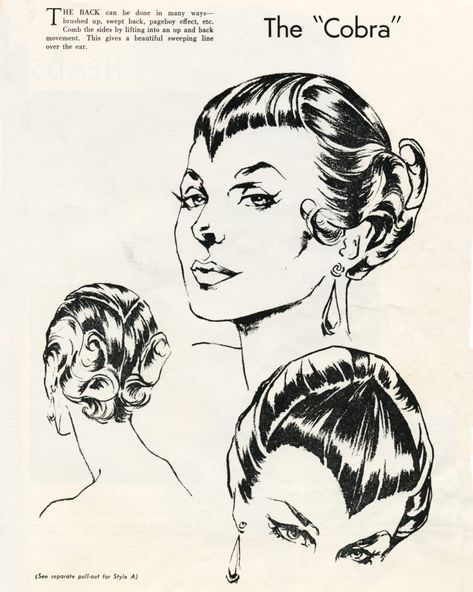 The Cobra Hairstyle circa 1957...bangs with a bite - Bobby Pin Blog / Vintage hair and makeup tips and tutorials The Cobra Hairstyle, Vintage Hair Illustration, Psychobilly Hairstyles, Cobra Bangs, Goth Hairstyles Drawing, Back Of Hair Reference, Drawing Bangs Hairstyles, Cobra Hairstyle, Goth Bridal Hair