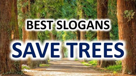 FAMOUS SLOGANS ON SAVE TREES - Tech Inspiring Stories Slogans On Trees, Slogan On Save Earth, Slogans On Save Trees, Tree Slogan, English Slogans, Short Trees, Famous Slogans, Just Thinking About You, Save Environment