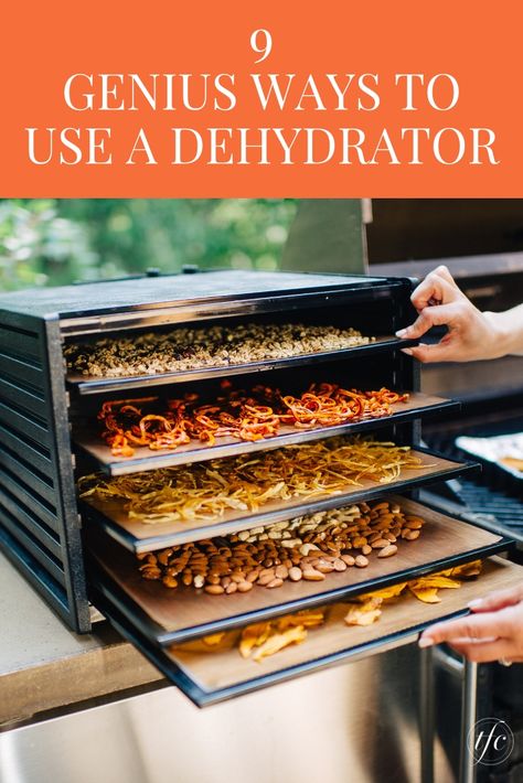 How To Dehydrate Meals, Oven Dehydrator Recipes, Using A Dehydrator, Food Dryer Recipes, Rehydrating Dehydrated Food, Best Food To Dehydrate, Good Foods To Dehydrate, Dehydrating Vegetables In Dehydrator, Good Dehydrator