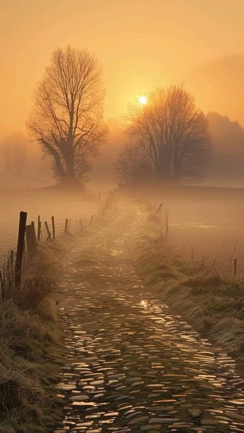 Autumn Mist Foggy Morning, Sunrise Through Trees, Foggy Nature, Yellow Hills, Autumn Bridge, Foggy Sunrise, Early Morning Sunrise, Misty Dawn, Nature Sunrise