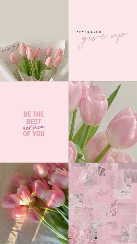 Tulip Wallpaper Aesthetic, Pink Tulips Aesthetic, Pink Tulips Wallpaper Aesthetic, Wallpers Pink, Iphone Wallpaper Classy, Pretty Wallpapers Tumblr, Bow Wallpaper, Emoji For Instagram, Simple Phone Wallpapers