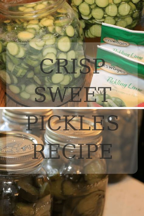 Cucumber Crisp Sweet Pickles Recipe Canning and Preserves - Shabby Chic Boho How To Make Sweet Pickles From Cucumbers, Lime Sweet Pickles, Sweet Lime Pickles Recipe, Homemade Sweet Pickles Recipe, Sweet Cucumber Pickles, Recipes Using English Cucumbers, Canned Sweet Pickles Recipe, Sweet Pickles Homemade Canning, Sweet Pickles Homemade Easy