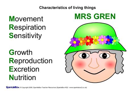 Characteristics of living things acronym: MRS GREN Simple Posters, Characteristics Of Living Things, Learn Biology, Living And Nonliving, Kids Gardening, Inquiry Learning, Biology Resources, Philosophy Of Education, Biology Lessons