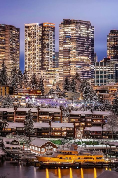 Pacific Northwest Plants, Seattle Downtown, Bellevue Washington, Seattle Art Museum, Lake Washington, Evergreen State, Chicago Travel, Seattle Washington, Sky Aesthetic