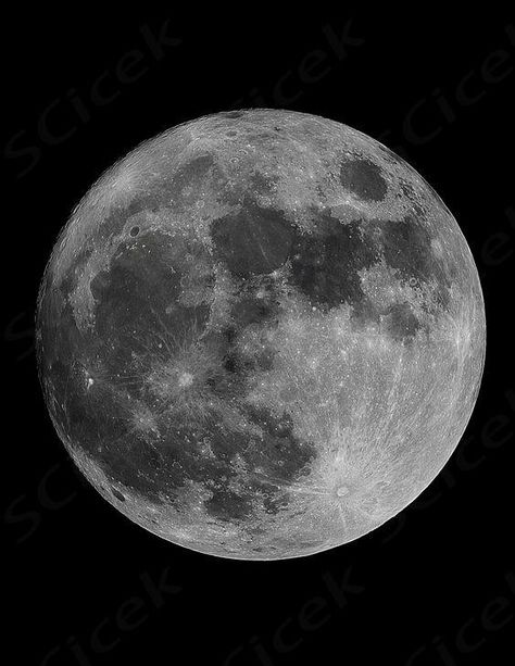 Learn how to paint the moon with black & white acrylic paint and a black canvas. This realistic moon tutorial is easy peasy for beginners too. Easy Moon Paintings For Beginners, How To Paint The Moon, Moon Painting Tutorial, Moon Tutorial, Glass Creations, White Moon, Moon Painting, Learn How To Paint, White Acrylic Paint