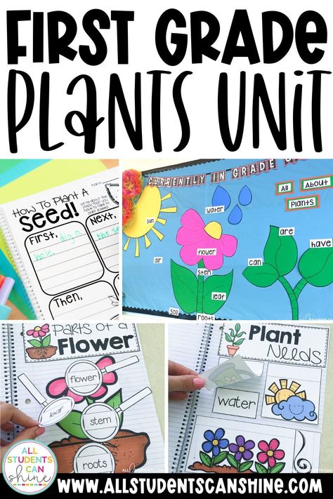 Plants First Grade Activities, Plants First Grade Science, Teaching Plants In First Grade, Life Cycle Of A Plant Lesson Plan, Needs Of Plants And Animals Grade 1, Life Science First Grade, Plants 1st Grade, 1st Grade Garden Activities, Spring Activities Grade 1