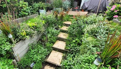 Dog Friendly Vegetable Garden, Gardens For Dogs, Dog Enrichment Garden, Dog Sensory Yard, Sensory Garden For Dogs, Dog Safe Garden, Dog Backyard Area, Dog Friendly Garden Ideas, Dog Sensory Garden