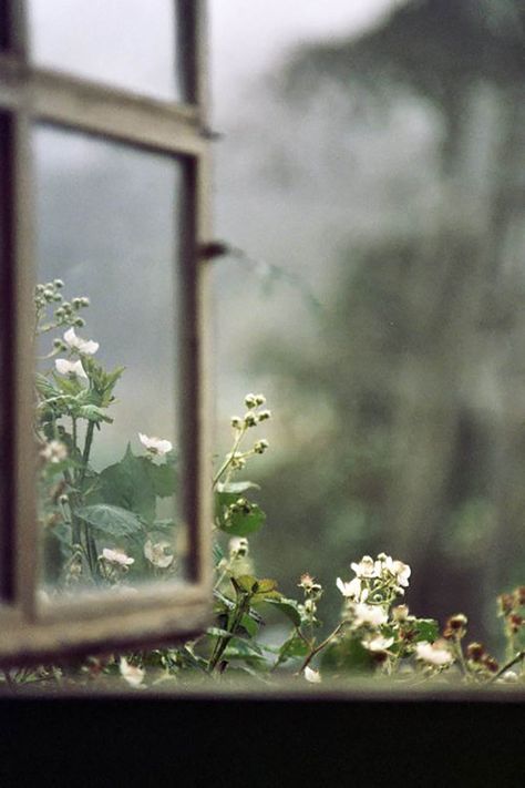 10 Ways to Make Life Lovely | Cultivating Gentleness | Festival Brides An Open Window, Moon Garden, Window View, Foto Art, Open Window, Jolie Photo, Foto Inspiration, God Is Good, Country Life