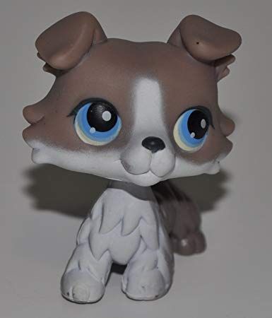 Lps Collie, Rare Lps, Old Lps, 2010s Nostalgia, Littlest Pet Shops, Lps Toys, Lps Pets, Custom Toys, Calico Critters